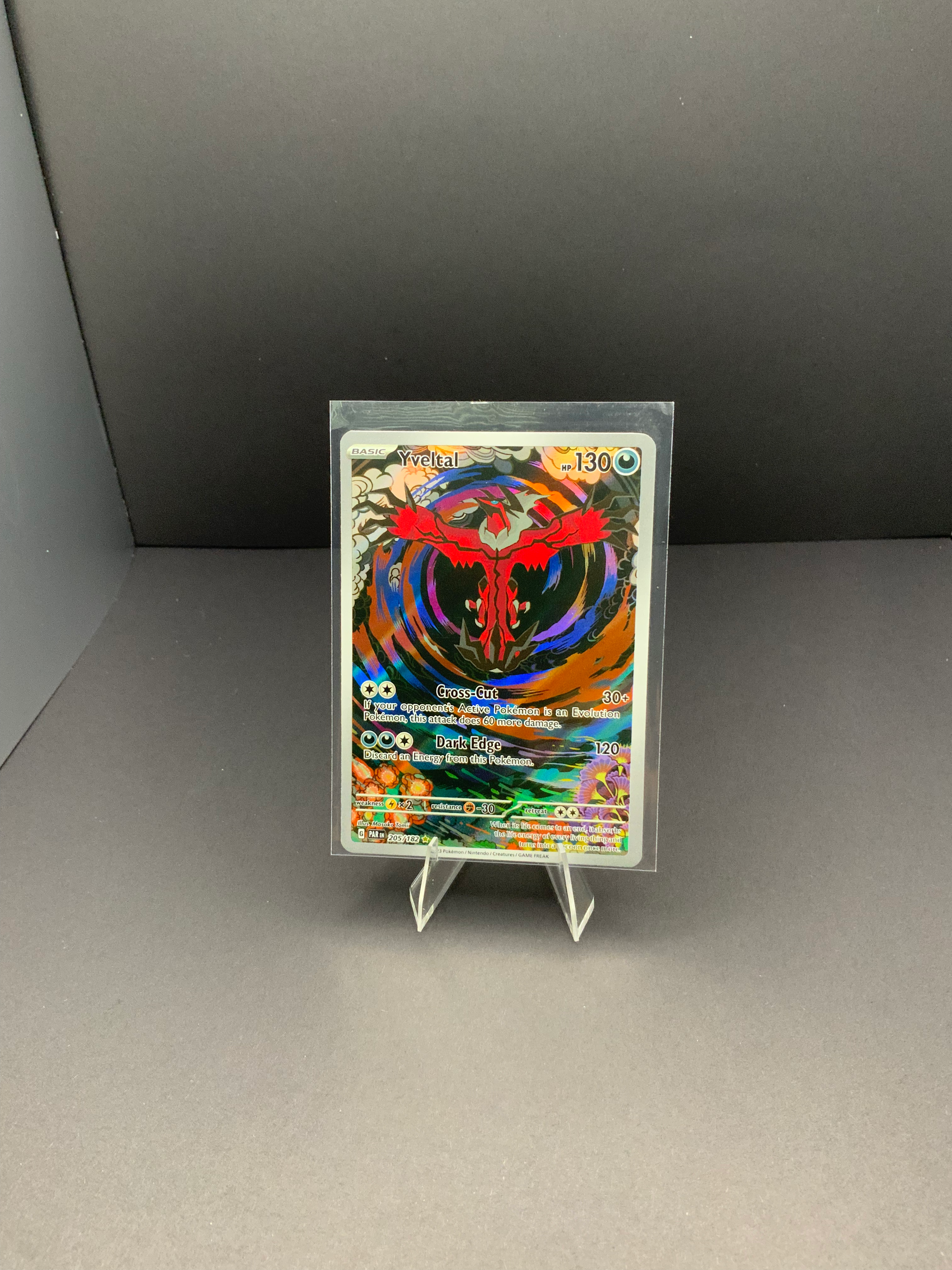 Yveltal image 0
